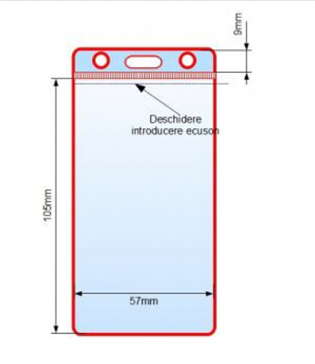 Suport card, vertical, transparent 57 x 100 mm